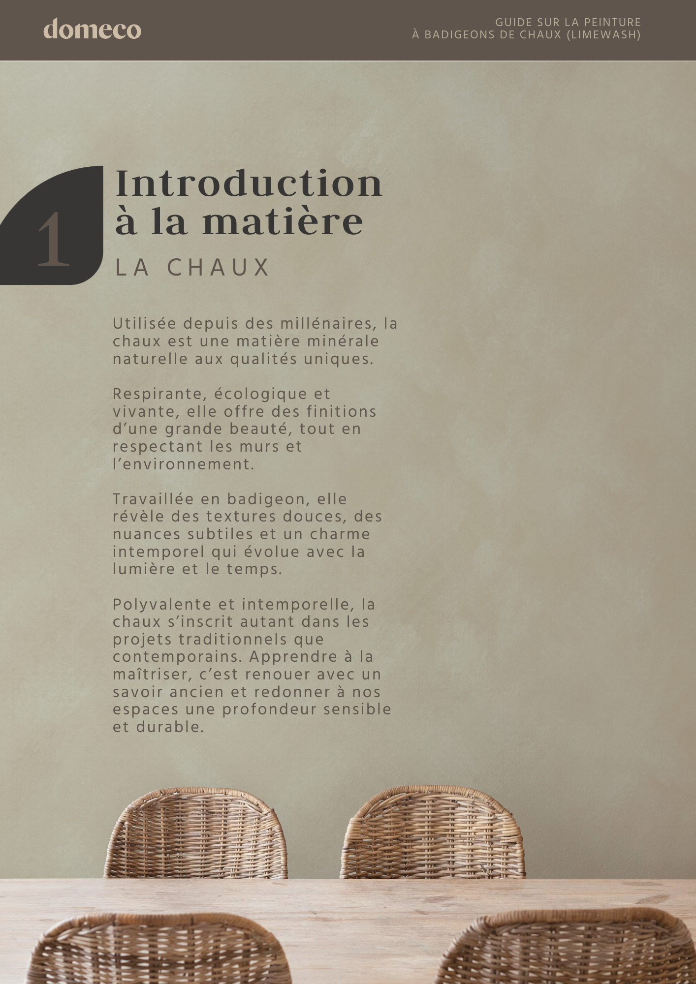 The Art of Limewash: The Guide to a Natural, High-End Effect (Limewash)