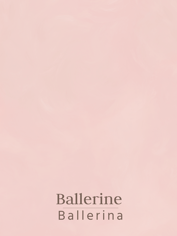 Peinture minérale à la chaux pour badigeons - Couleur Ballerine