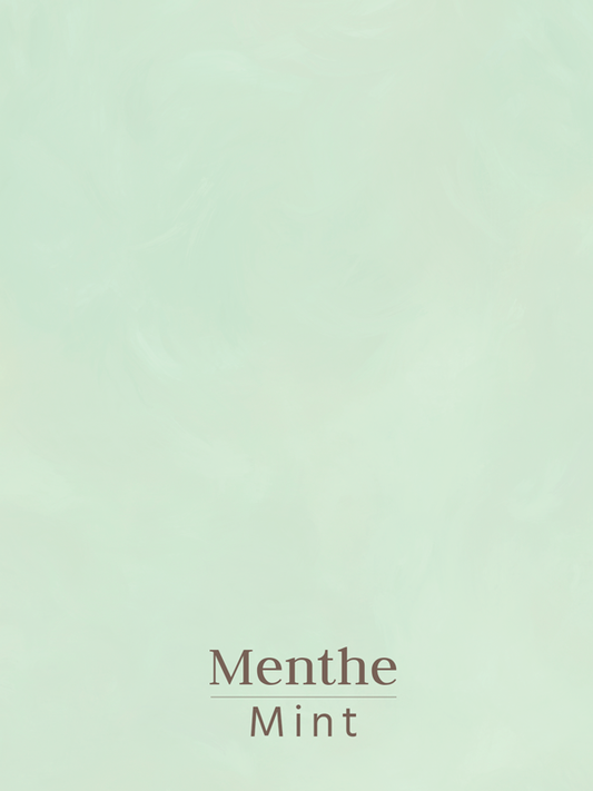 Peinture minérale à la chaux pour badigeons  - Couleur Menthe