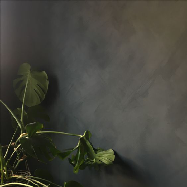 Developing a critical eye for lime painting projects