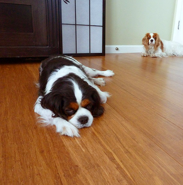 Fossilized® Solid Bamboo Flooring - Natural Color