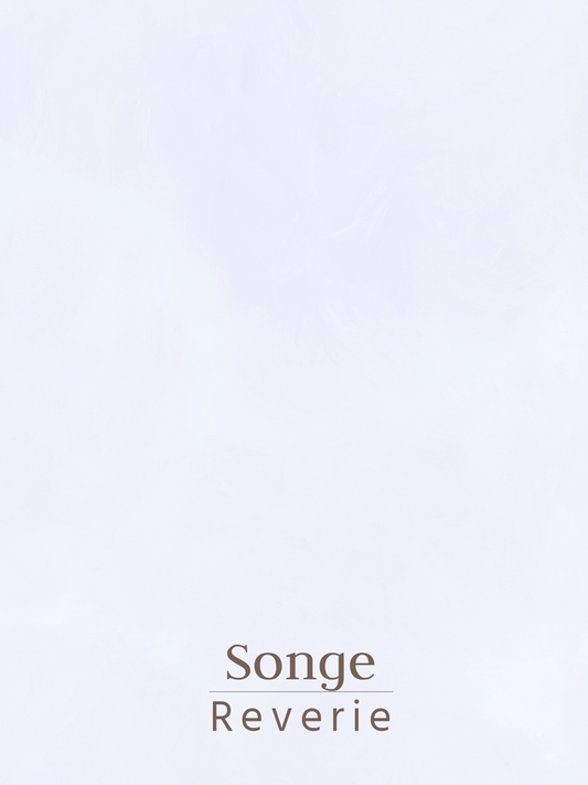 Ecological and natural lime paint with textured effect for decorative walls - Siena by Graphenstone