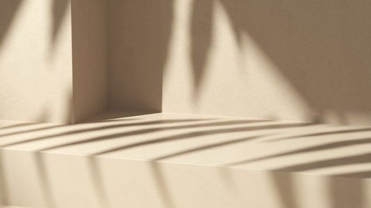 Introduction to lime plaster - for wall finishing projects