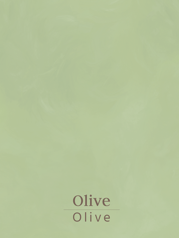 Ecological and natural lime paint with textured effect for decorative walls - Siena by Graphenstone