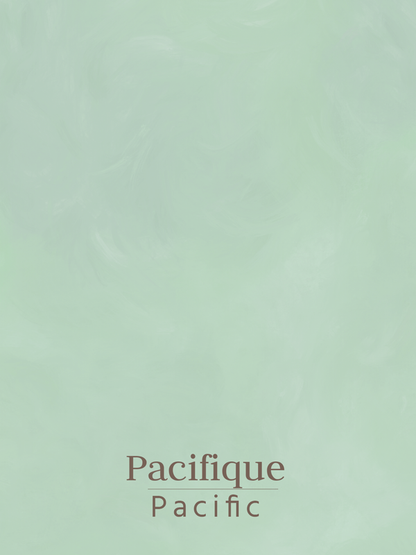 Ecological and natural lime paint with textured effect for decorative walls - Siena by Graphenstone